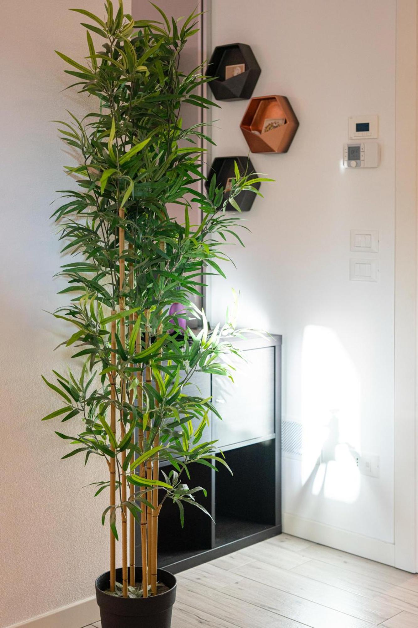 Vera Home Savignano sul Rubicone Exterior photo